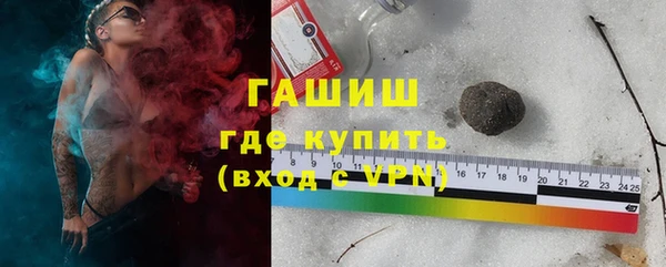 гашик Алексин