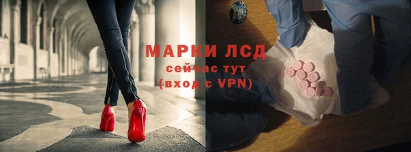гашик Алексин