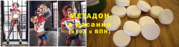 гашик Алексин