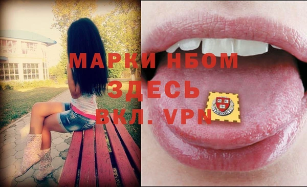 гашик Алексин