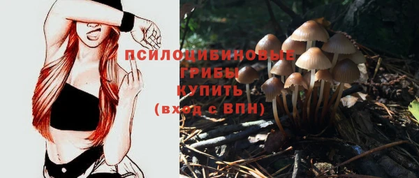 амф Алзамай