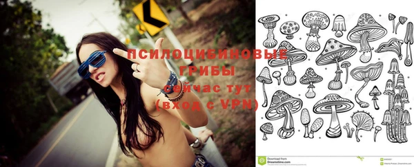 амф Алзамай