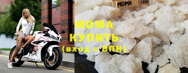 гашик Алексин