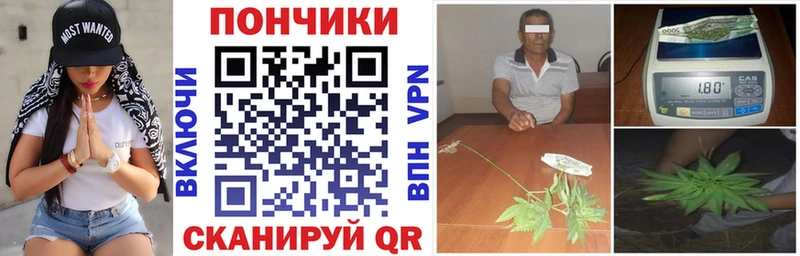где купить наркоту  ОМГ ОМГ вход  Бошки марихуана индика  Петушки 